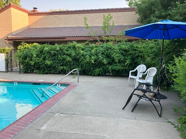 Pool - 2955 Lakeside Dr