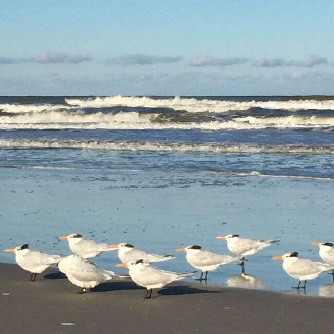 Building Photo - 34 Morning Star Ave