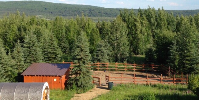 South facing yard view - 2279 Franklin St