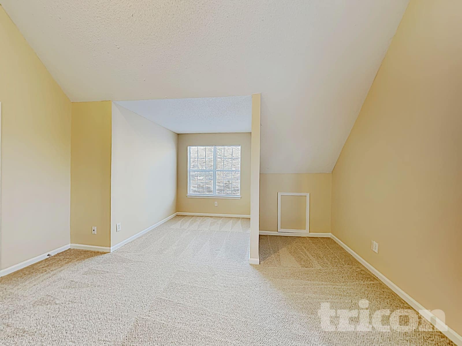 Building Photo - 4600 White Rd