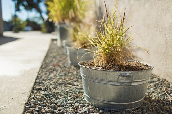 Building Photo - Prime Old Town Orange location
