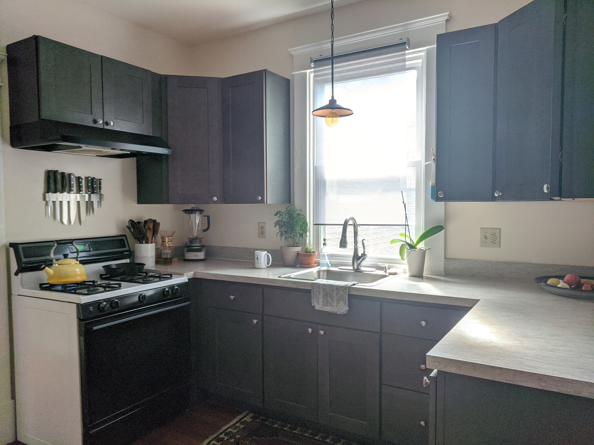kitchen - 700 Hinton Ave