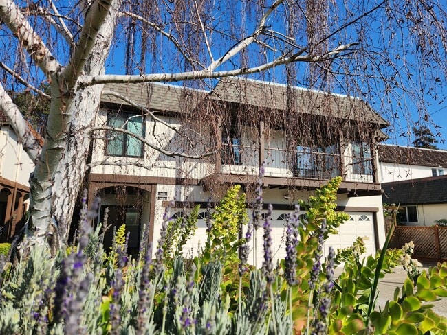 Building Photo - Meticulously renovated 2 bedroom duplex home in central San Mateo