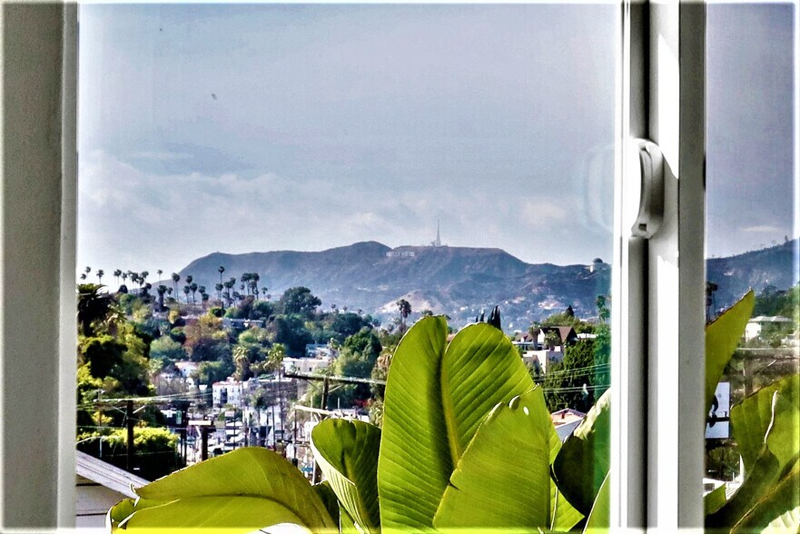 View from Bedroom - 2420 W Sunset Blvd