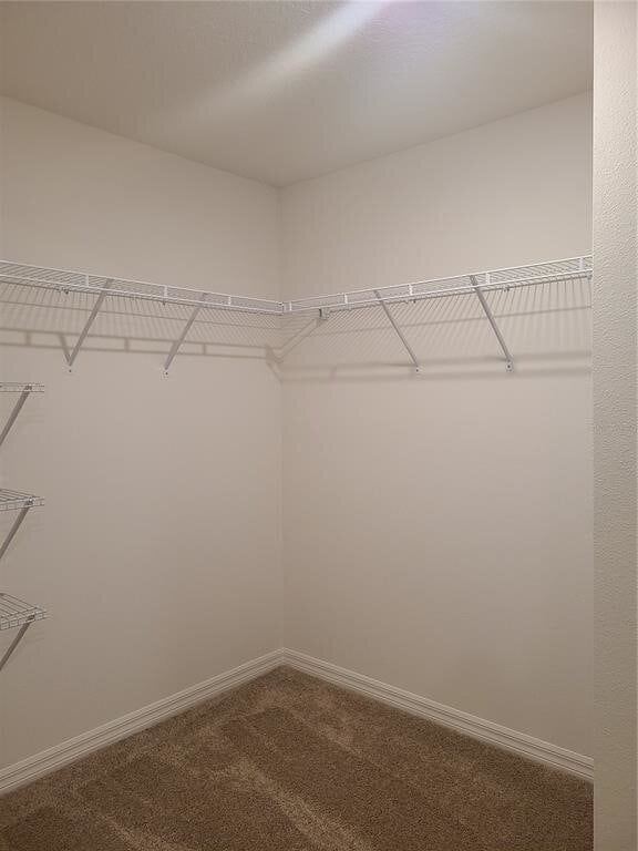 Building Photo - Beautiful 2-Bedroom Townhouse in Tampa | Brand New Paint & Vinyl Floors!