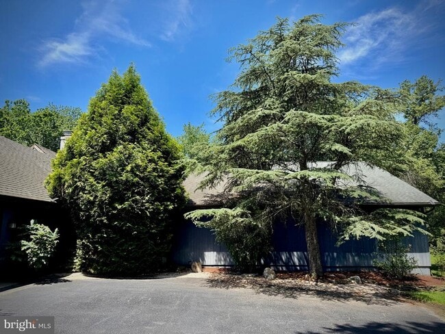 Building Photo - 881 Cox Rd