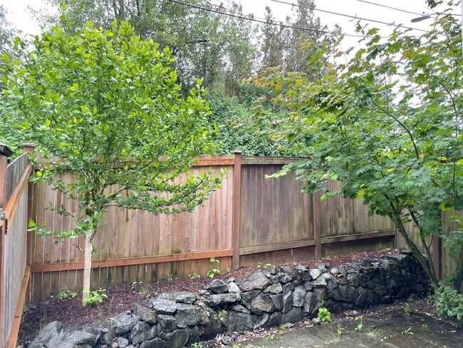 Backyard - 9101 23rd Ave NE