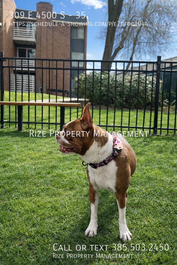 Building Photo - 309 E 4500 S