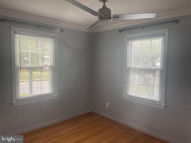 Building Photo - 5209 Mineola Rd