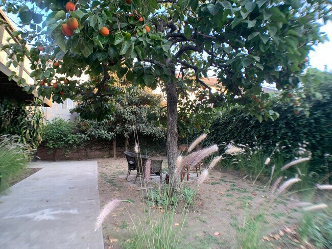 backyard - 1312 S Victoria Ave