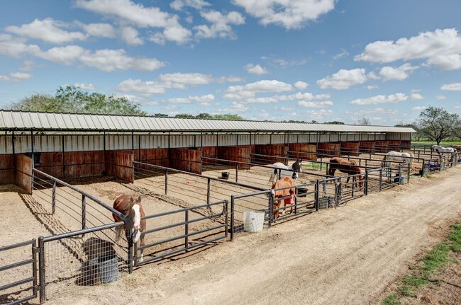 Building Photo - Live at Flying Ace Ranch!!