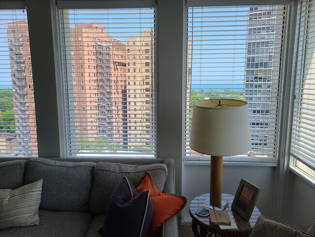 Partial Lake Views - 444 W Fullerton Pky