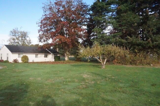 Building Photo - Large lot with room for a garden
