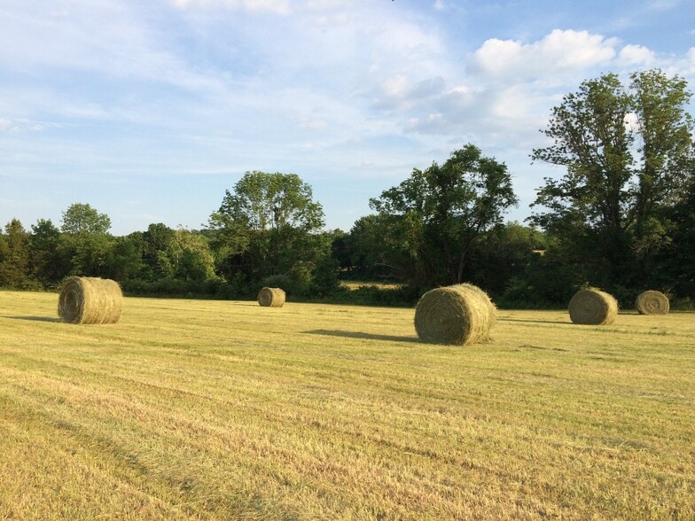 pastoral fields - 74 S Main St