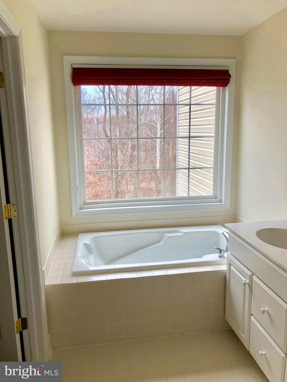 Building Photo - 2472 Terra Cotta Cir