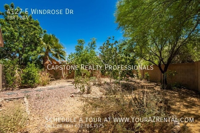 Building Photo - 4127 E Windrose Dr