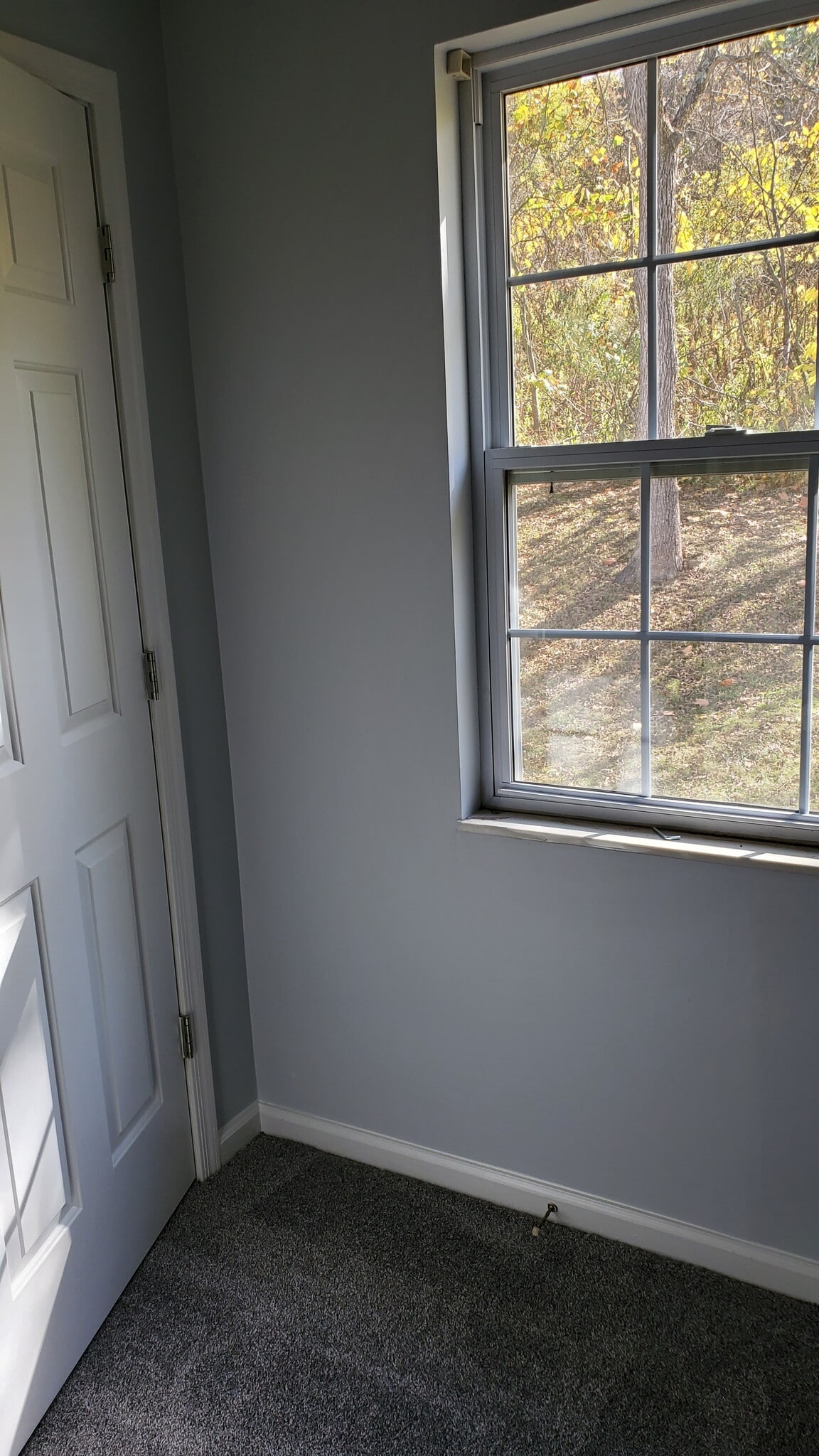 Small 2nd bedroom or office - 1503 5th St