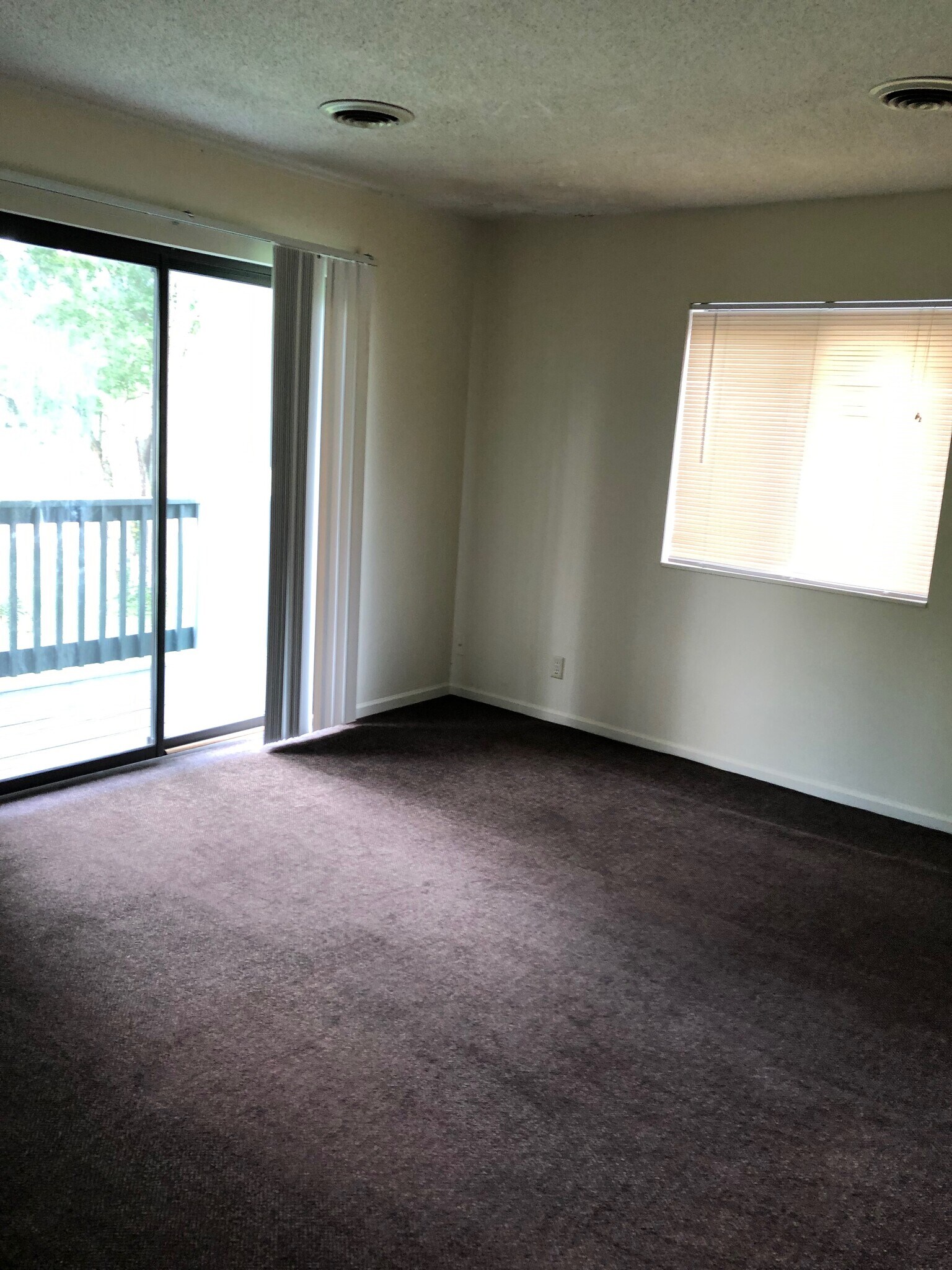 living room - 101 S Shafer St