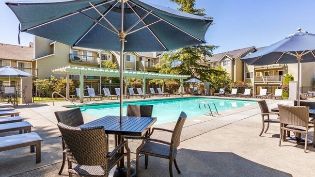 Pool - Citizen & Oake Apartments