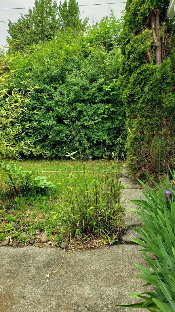 Building Photo - Available Now - 2bed, 1 bath house