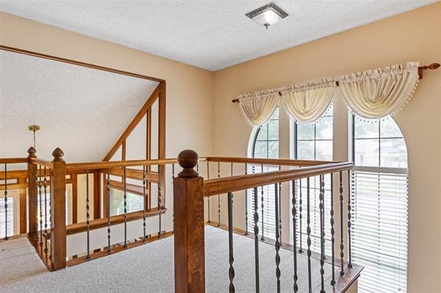 Building Photo - 3813 Vicksburg Ct