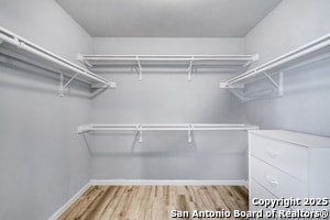 Building Photo - 9159 Mare Hunt