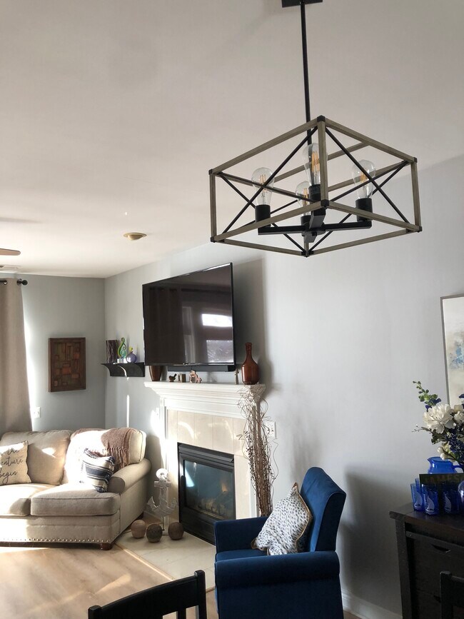 Fireplace - 40 Park Island Dr