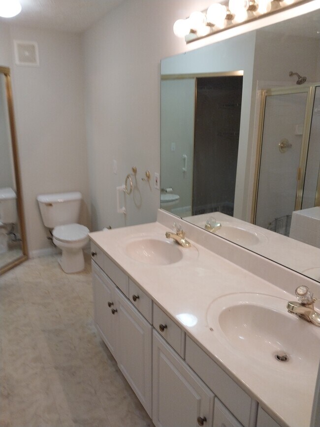 Building Photo - 3912 Vineyard Green Dr