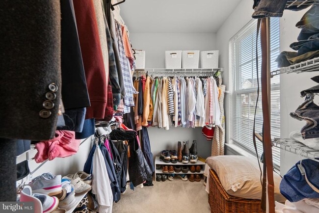 Building Photo - 35507 St James Dr