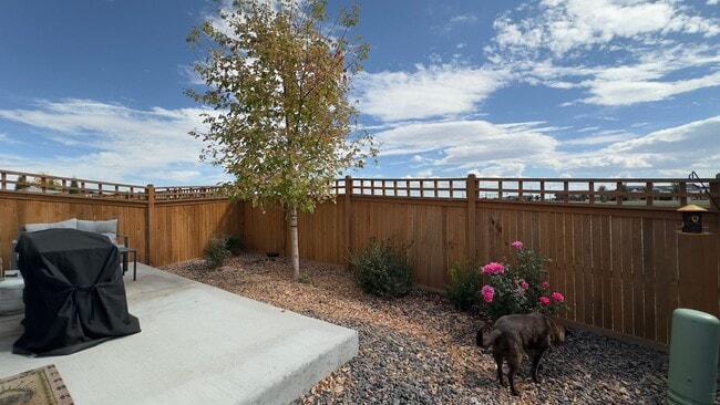 Building Photo - Great Townhome in Timnath Lakes