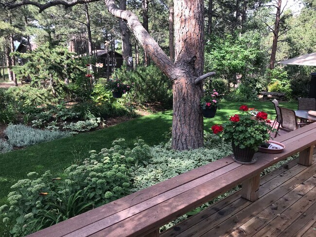 Building Photo - Warm & Spacious Woodmoor Home in a Fantast...