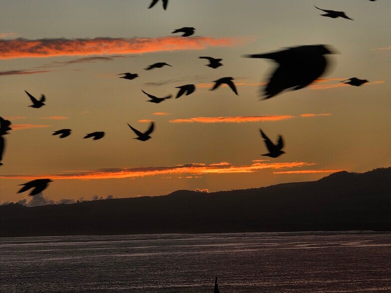 Building Photo - 1367 Kakae Pl