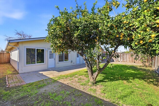 Building Photo - Recently Upgraded 3 Bedroom Home in San Jose