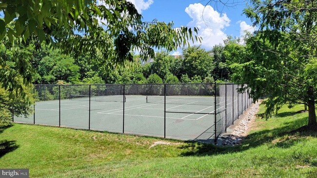 Tennis Court - 9651 Franklin Woods Pl