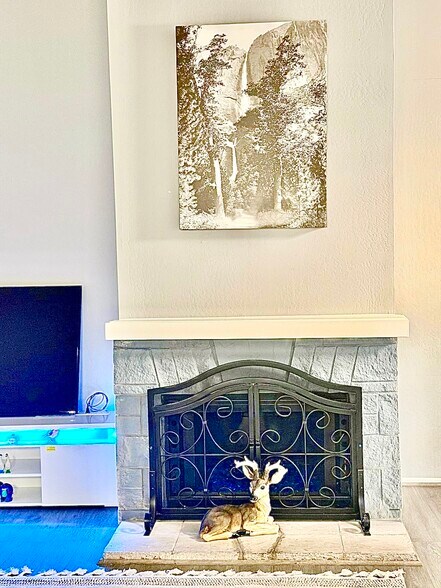 Fireplace - 1072 Maywood Ln