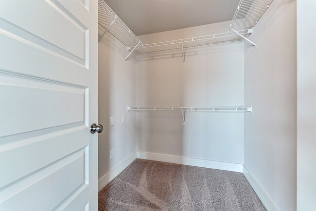 Building Photo - 6010 Stonewater Ct