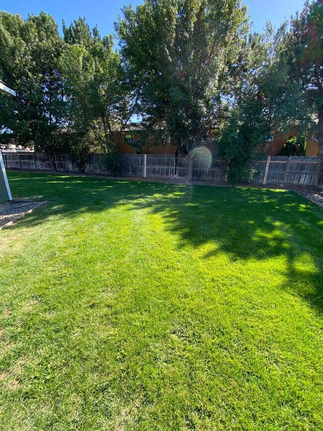 Building Photo - Newly Remodeled! Close to CWU 4 Rooms !!