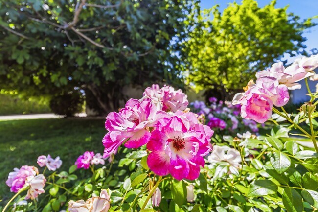 Building Photo - 23020 Haynes St