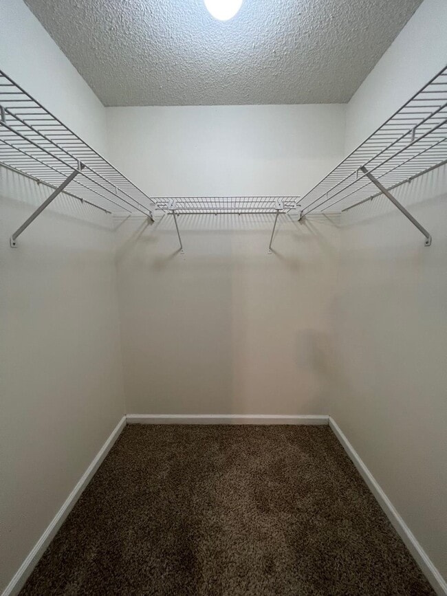Building Photo - 2231 Treeo Ln