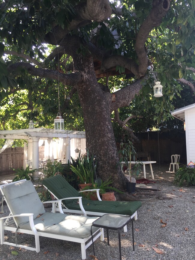 Lounges under the tree are ready for relaxing - 1229 N Orange Grove Ave