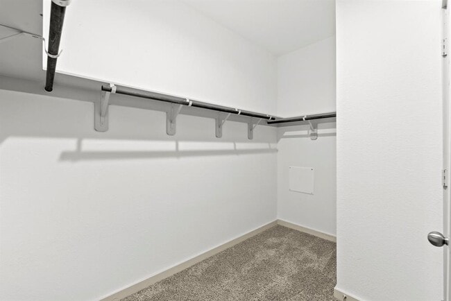 Building Photo - 207 William Ln