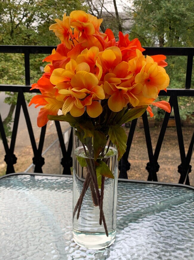 748 Congress Ave 748 Congress Ave New Haven CT 06519 Apartment Finder