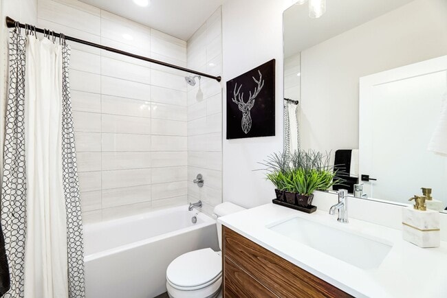 Building Photo - Madrona Townhouse