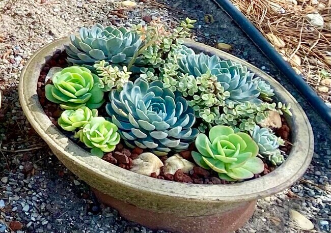 Building Photo - 206 Osprey Preserve Blvd