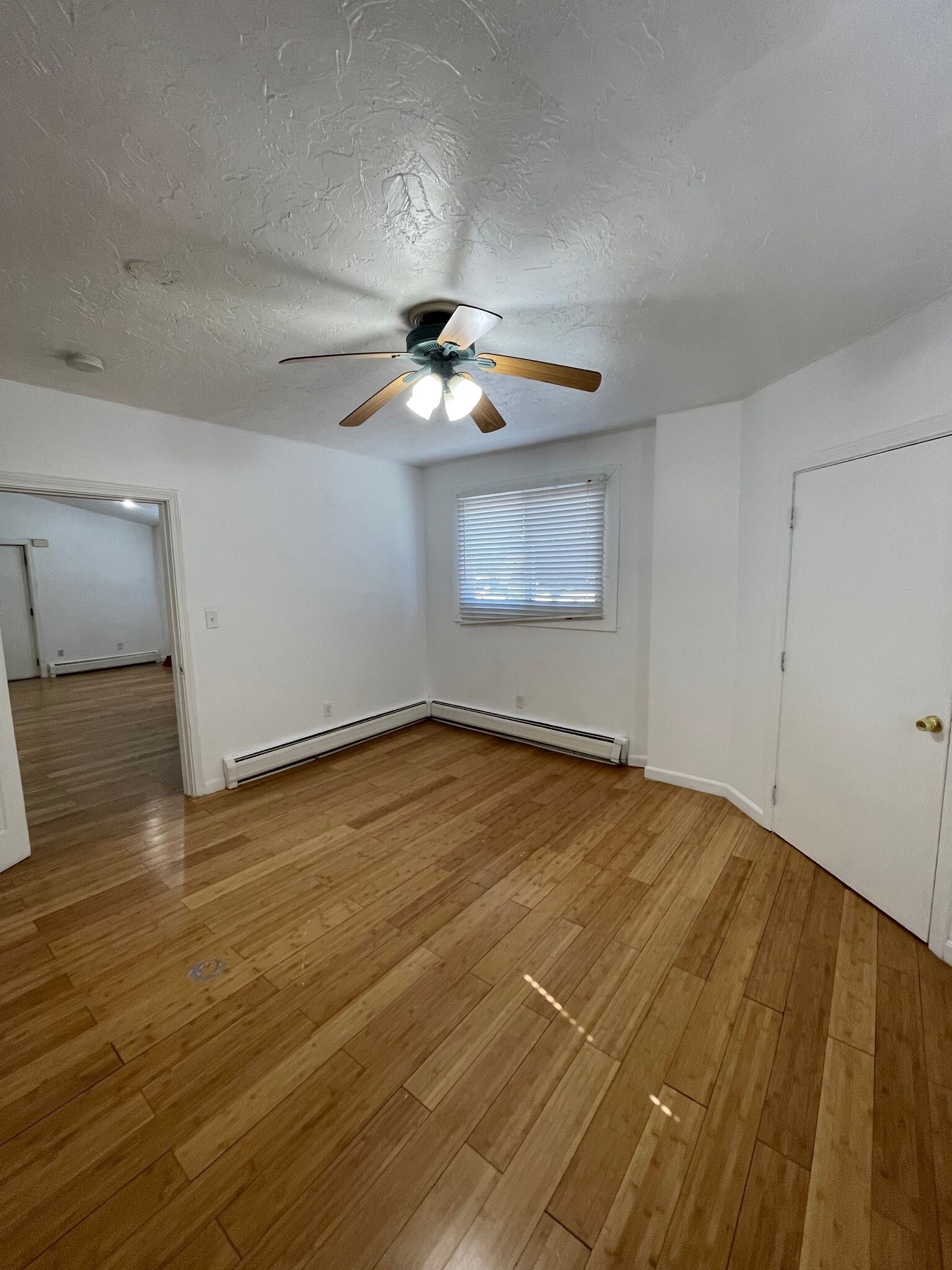 Building Photo - 241 Maverick St