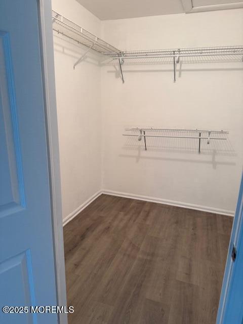 Building Photo - 975 Lily Ct