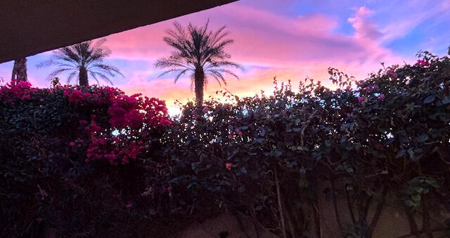 Building Photo - 75114 Concho Dr