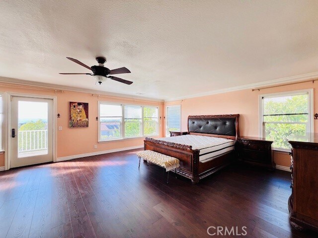 Building Photo - 23635 Canyon Vista Ct