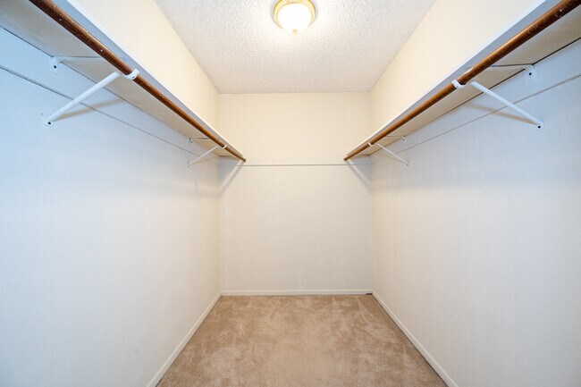 Building Photo - 1034 Shoal Dr