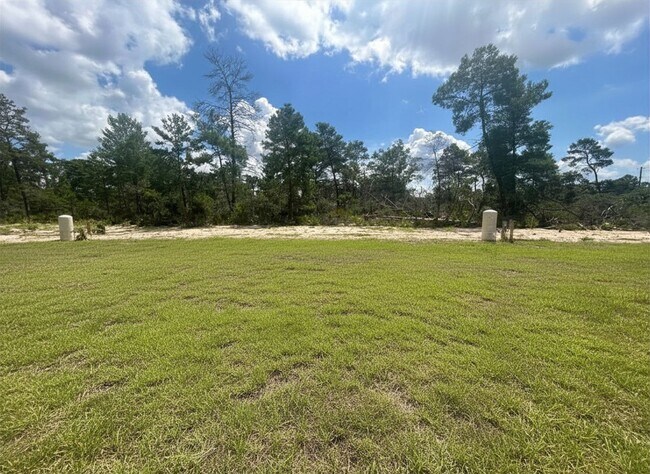 Building Photo - BRAND NEW! Move-In Ready Modern 3 Bed / 2 Bath Home in Desirable Lake Placid Neighborhood